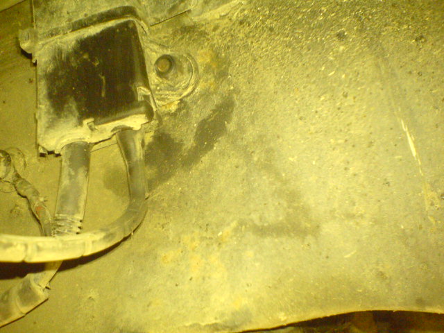DSC00061.jpg