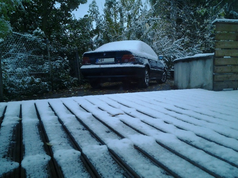 2012-10-28 06.49.49.jpg
