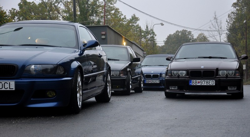 dsc1629h.jpg