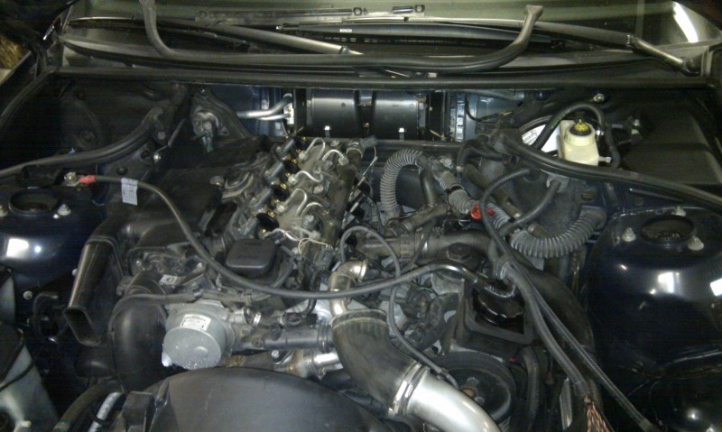 IMAG0415.jpg