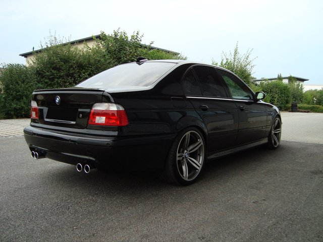 dsc00491ma.jpg