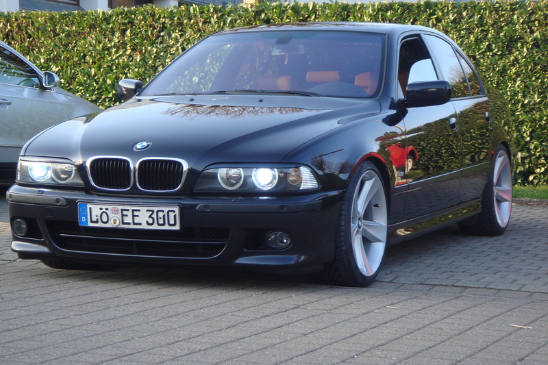 dsc01611vln.jpg