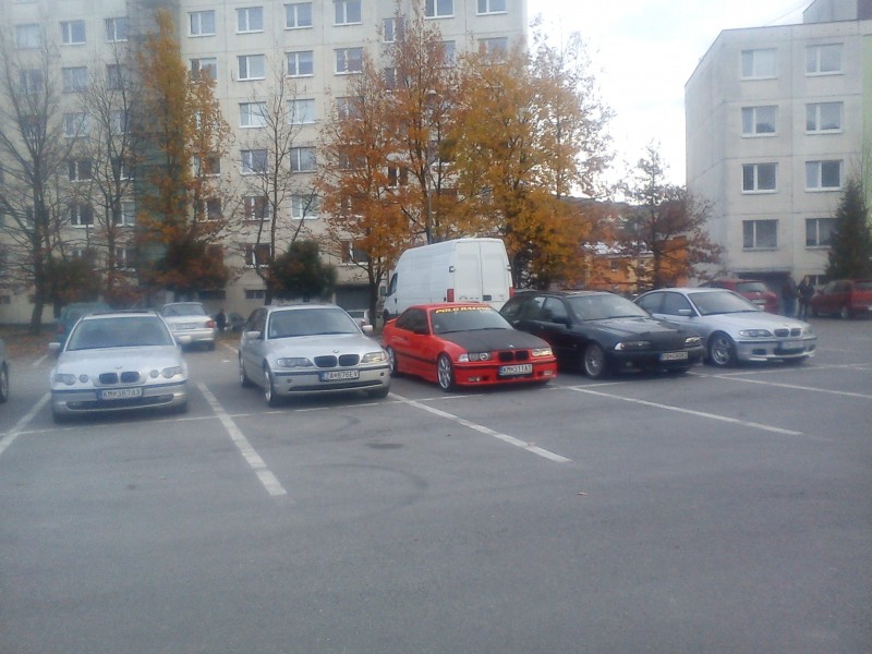 DSC00195.jpg