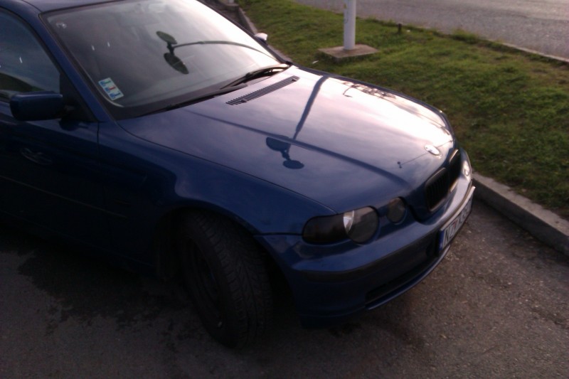 IMAG0220.jpg