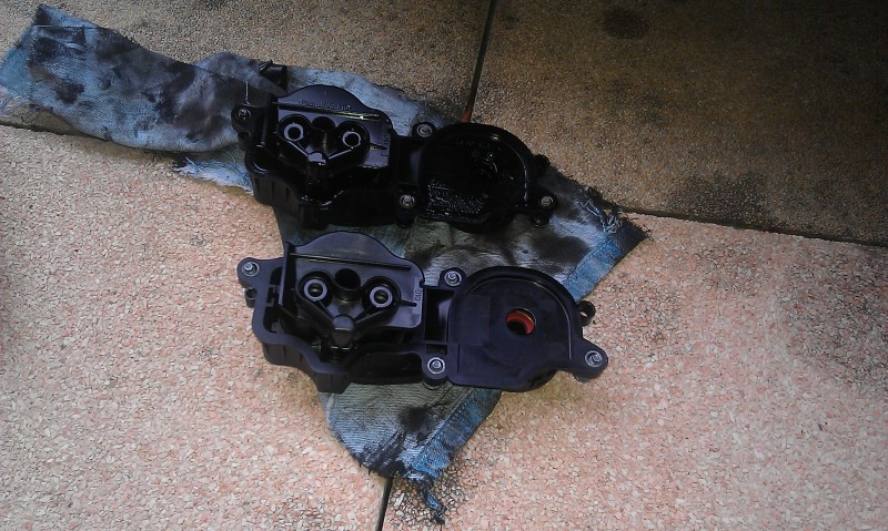 IMAG0634.jpg