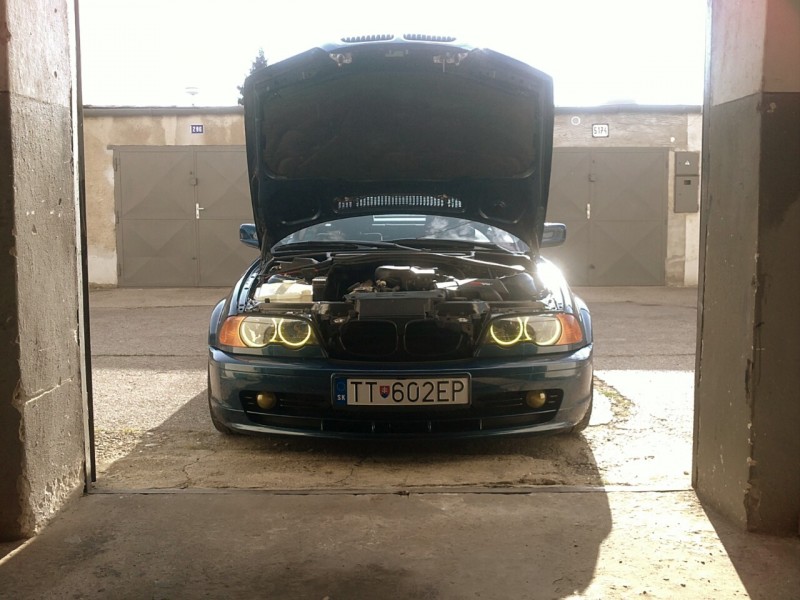 IMG_20121117_033635.jpg