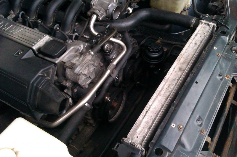 IMAG0087.jpg