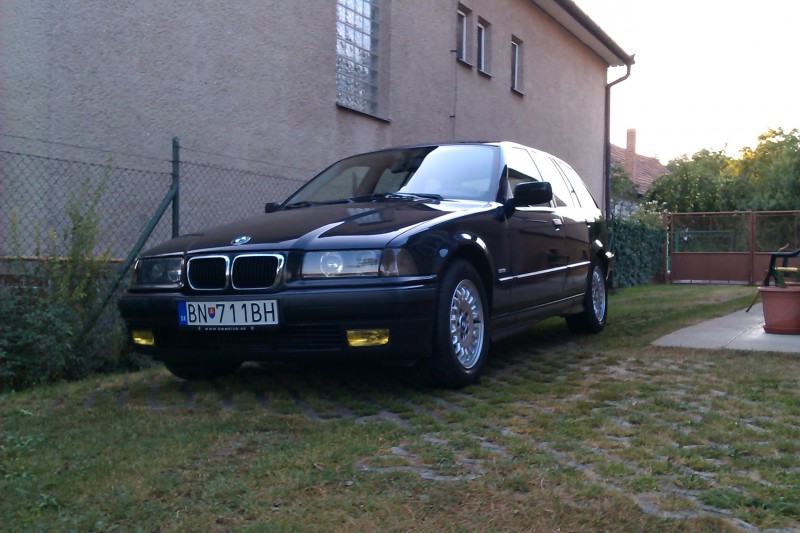 IMAG0095.jpg