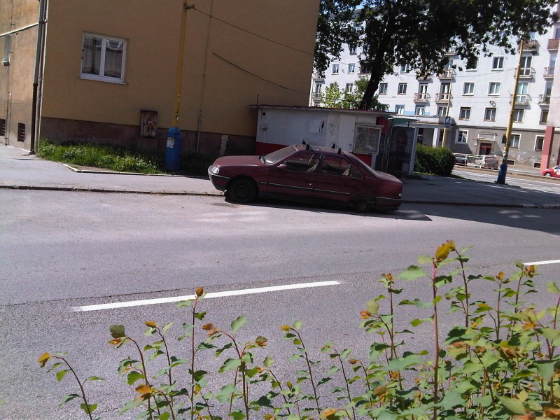IMG00206-20120518-0940.jpg