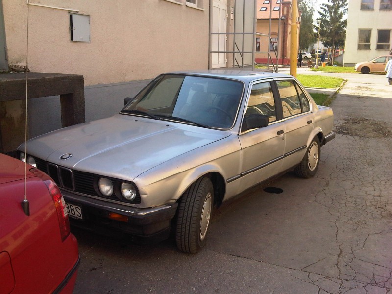 IMG01109-20121009-1229.jpg