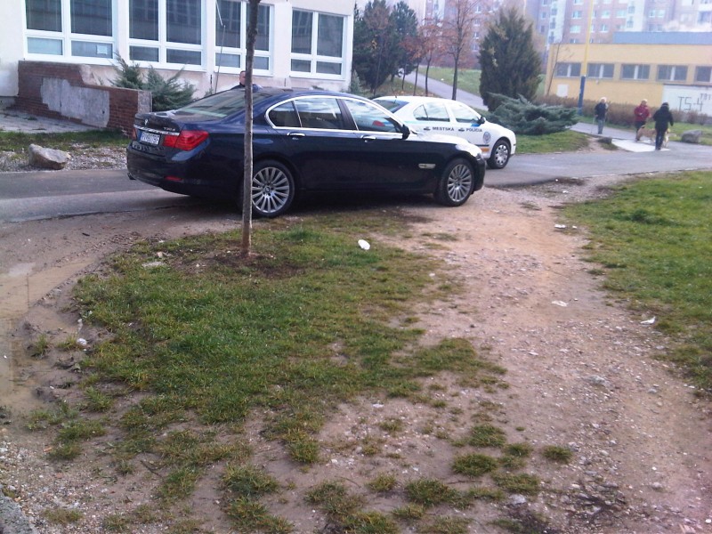 IMG01164-20121117-0940.jpg