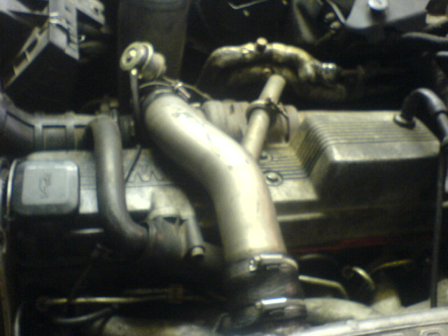 DSC07325.JPG