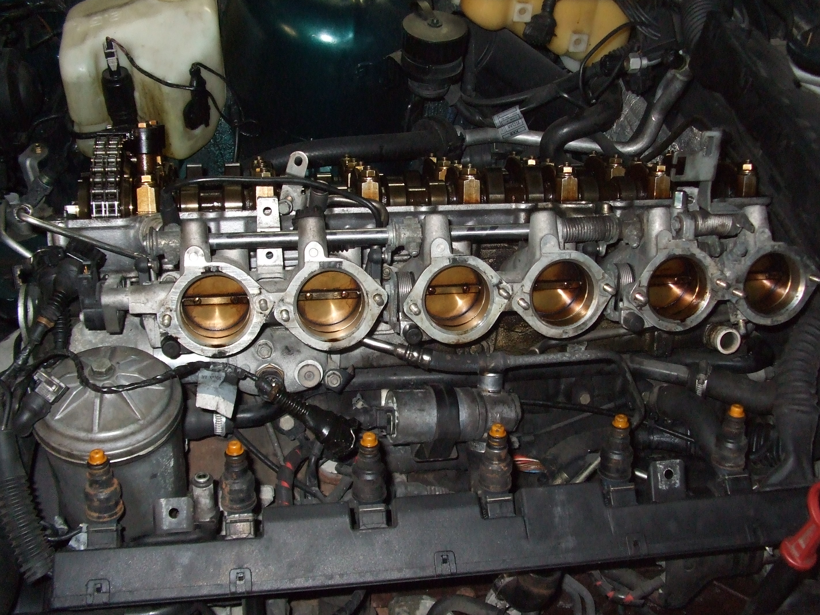 DSCF8755.jpg