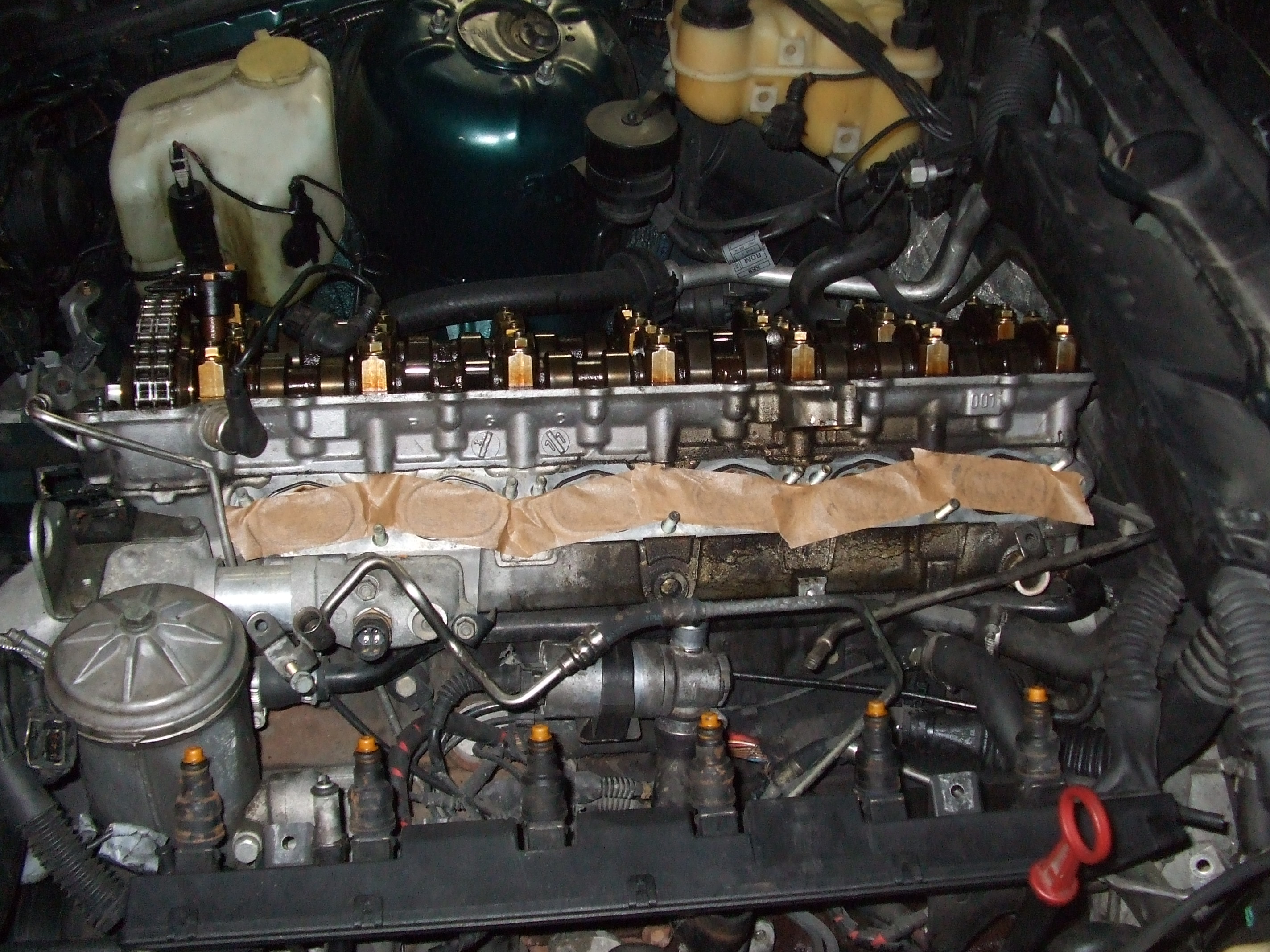 DSCF8774.jpg
