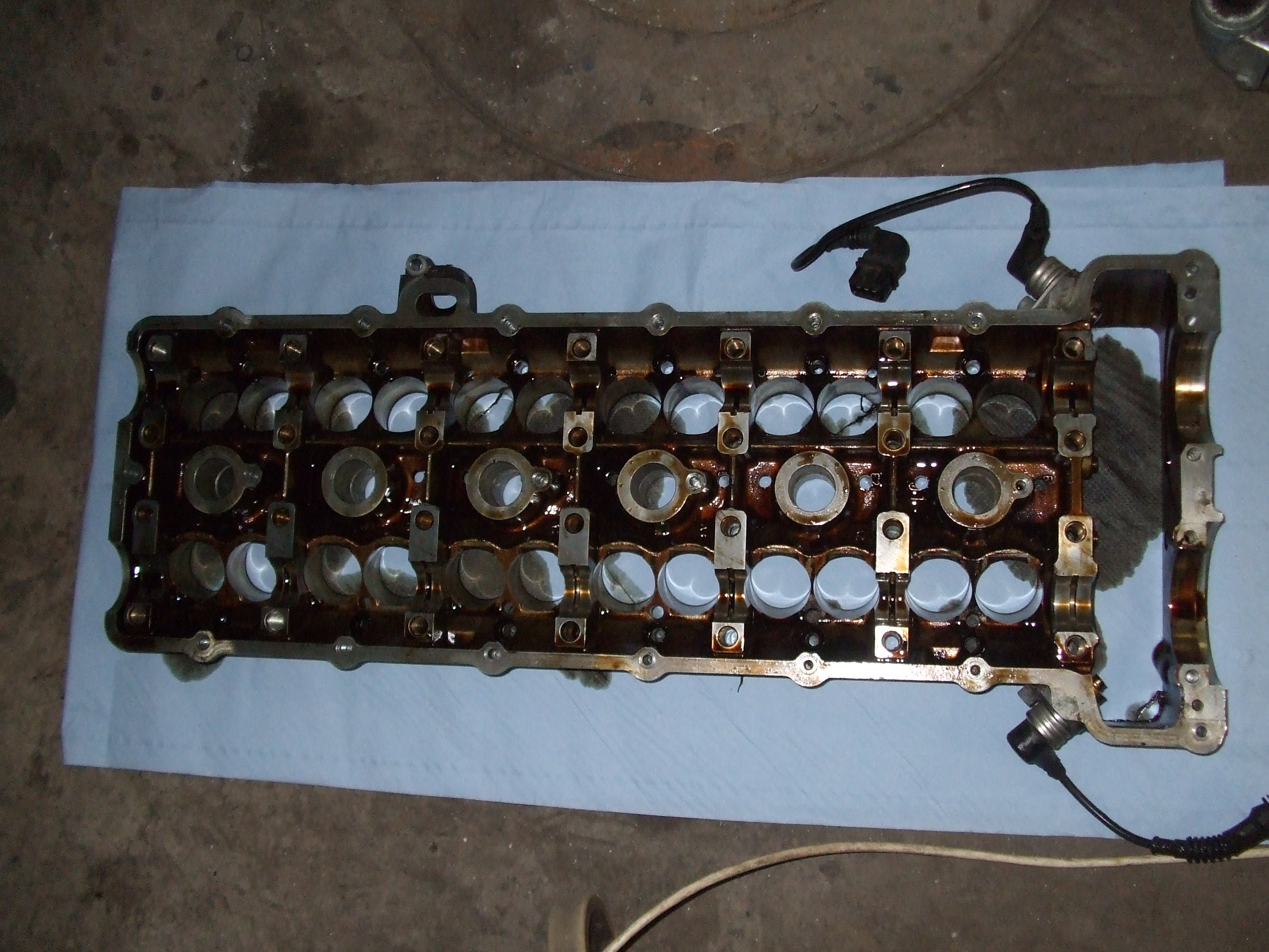DSCF8786.jpg