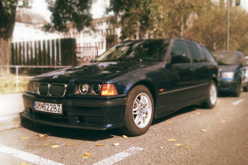 IMAG0742.jpg