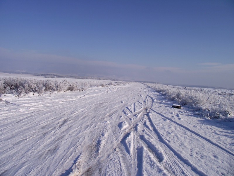 06.jpg