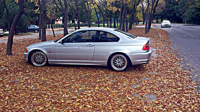 DSC_0268 (640x360).jpg