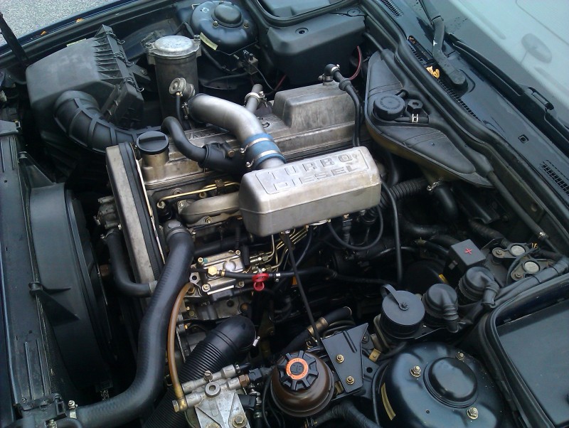 IMAG0023.jpg