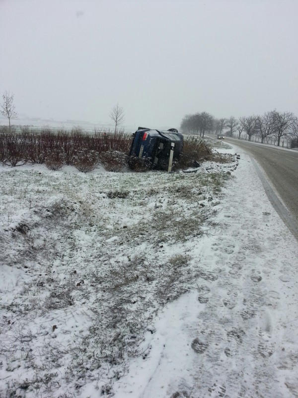 20121223_091224_resized.jpg