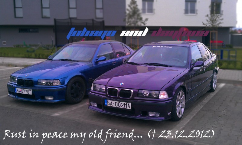 IMAG0545.jpg