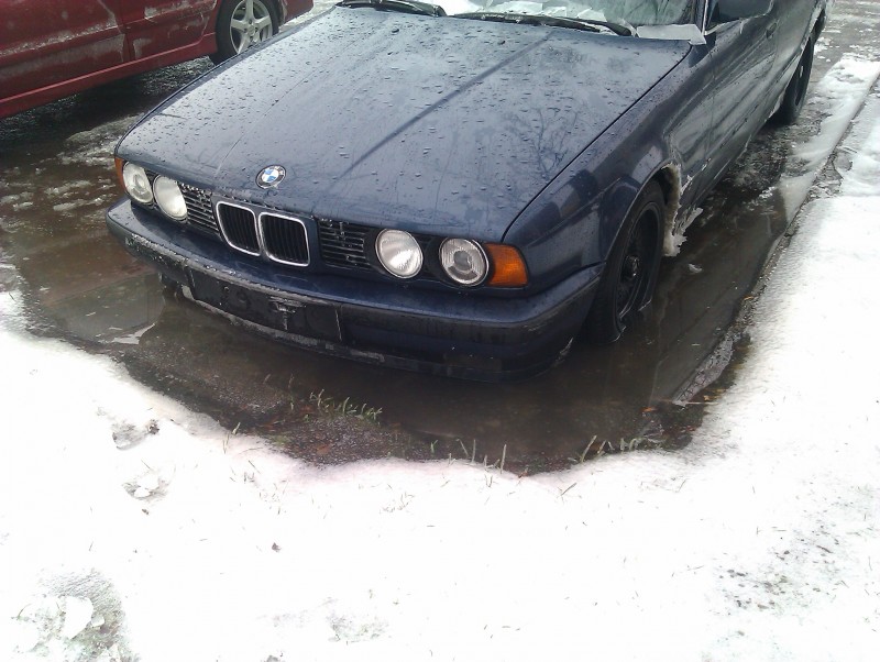 IMAG0066.jpg