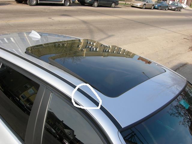 DSCN1310.jpg