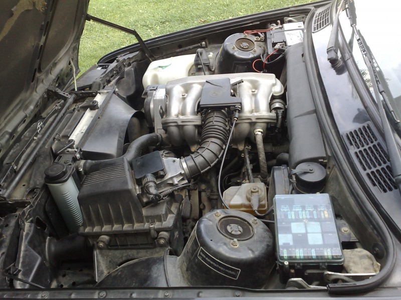 060920081469.jpg