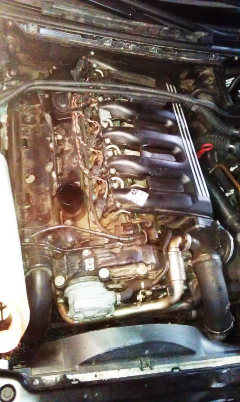 IMAG0382.jpg