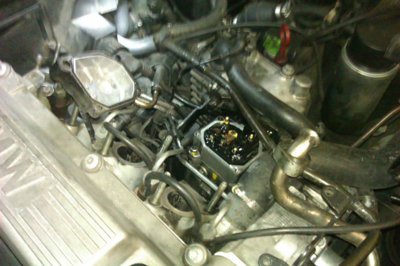 IMAG0107.jpg