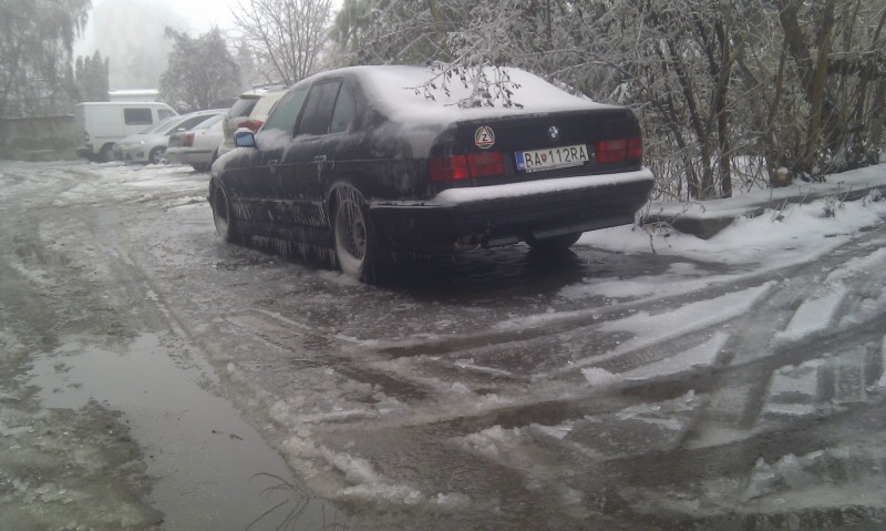 IMAG0443.jpg