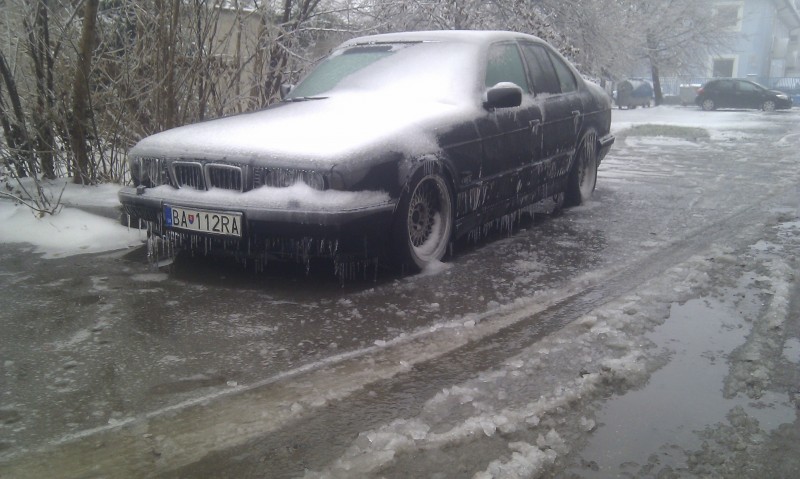 IMAG0445.jpg