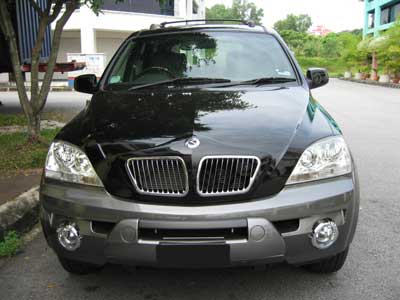 sorento-bmw-grill.jpg
