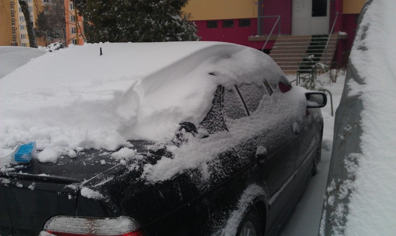IMAG0230.jpg