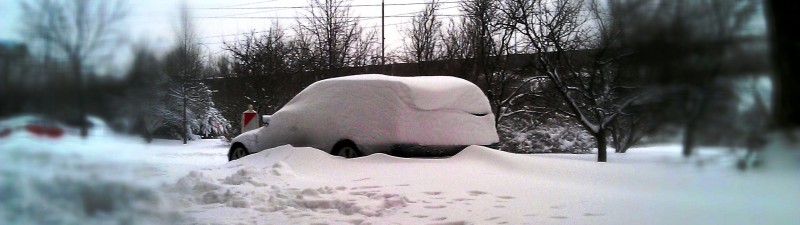 IMAG0402 or.jpg