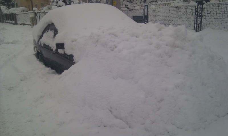 IMAG0498.jpg
