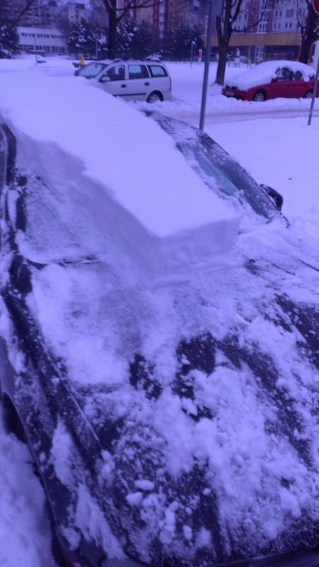 IMAG0644.jpg