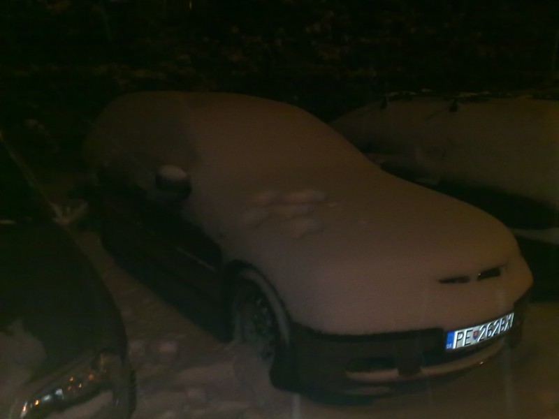 Snímka234.jpg