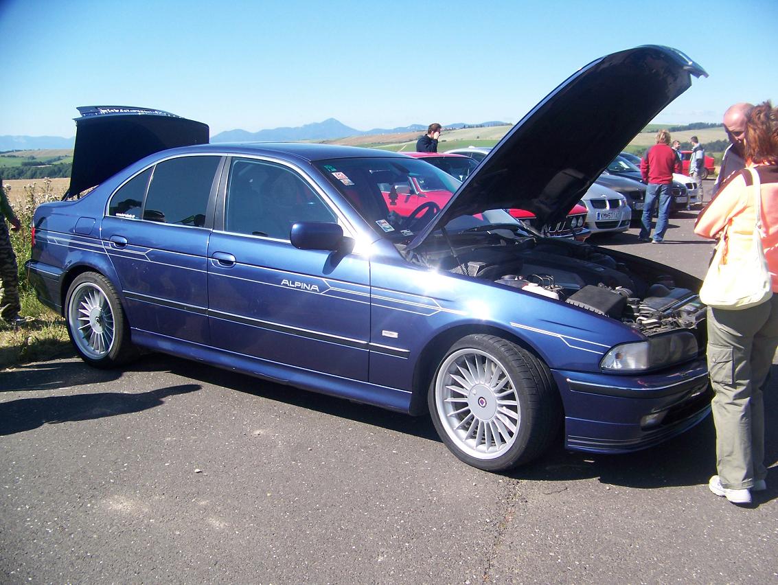 alpina krasa.JPG