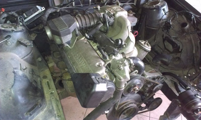 IMAG0028.jpg