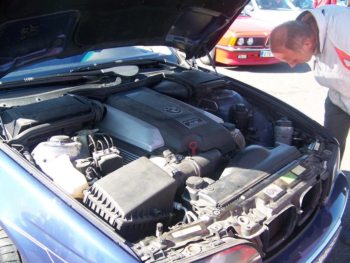kachle alpina.JPG