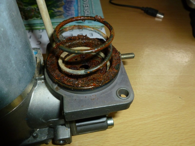 P1000960.jpg