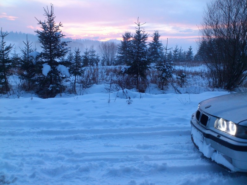 DSC_0960.JPG