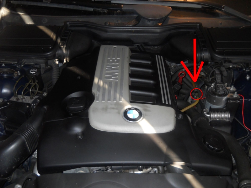 dscn2937.jpg