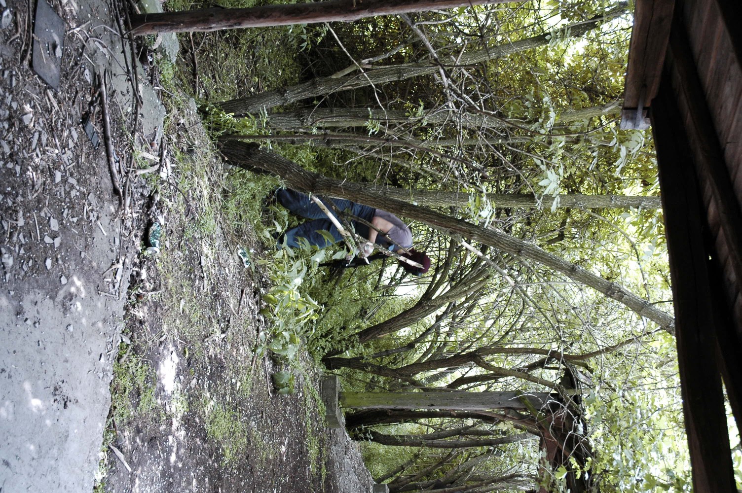 airsoft2405071.jpg