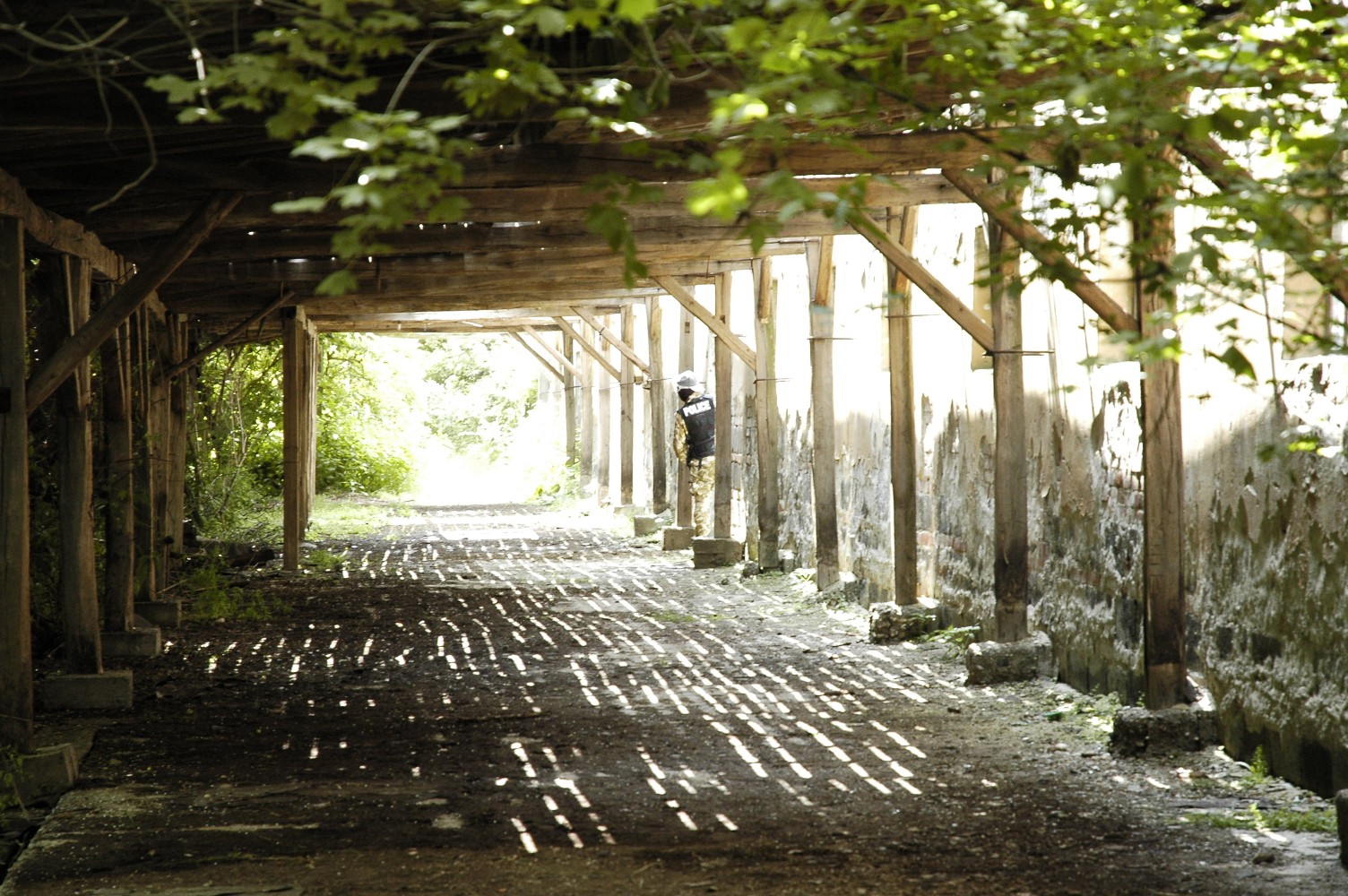 airsoft2405081.jpg