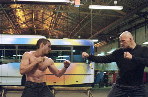 transporter.fighting kopie.jpg