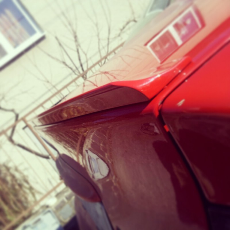 IMG_20130303_130400.jpg