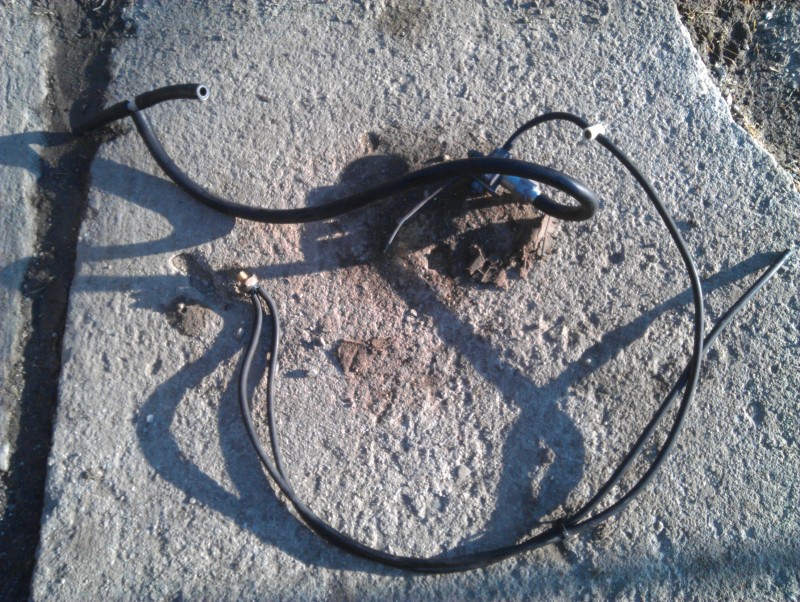 IMAG0927.jpg