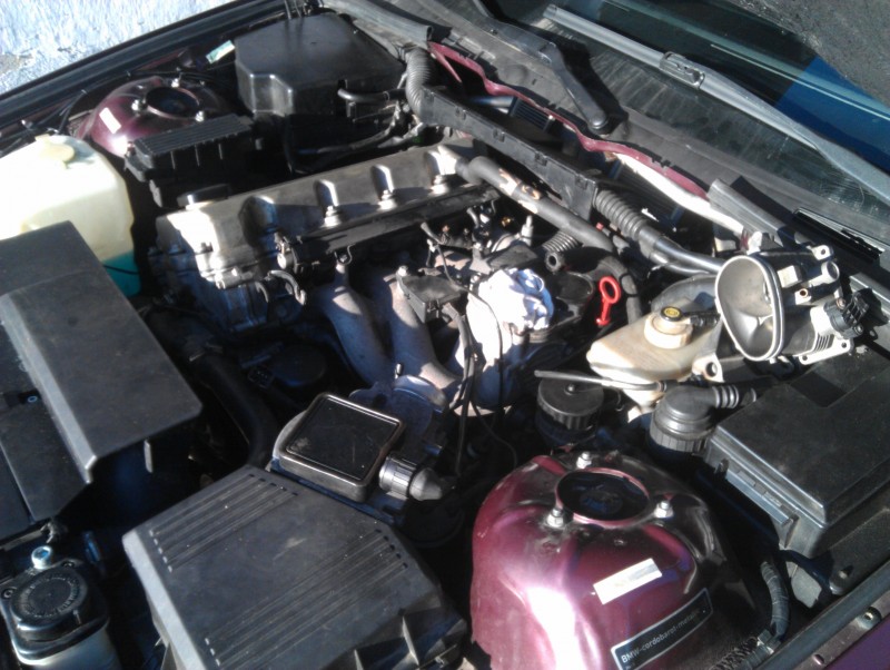 IMAG0928.jpg